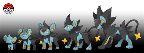 shinx line.